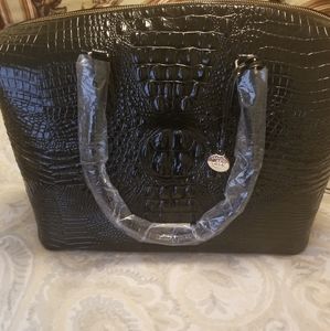 Brahmin  Carryall